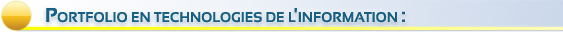 Portfolio en technnologies de l'information