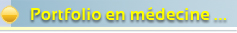 Portfolio en médecine
