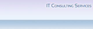 IT Consulting Services