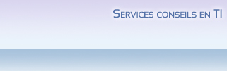 Services conseils en TI