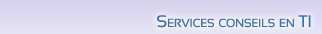 Services conseils en TI